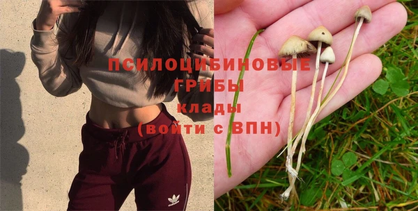 тгк Балабаново